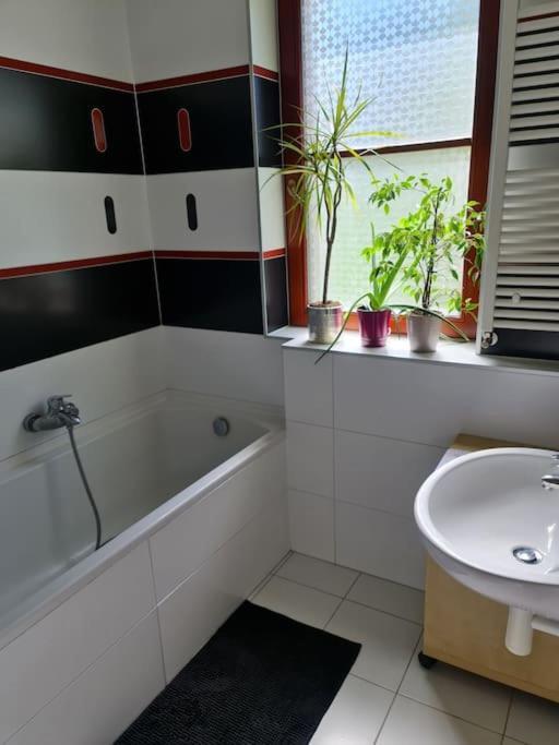 Comfortable Apartment! Praha Eksteriør bilde